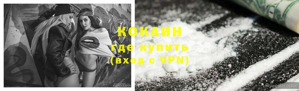 ешки Гусев