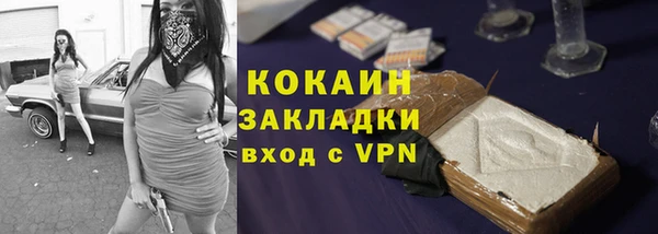 ешки Гусев