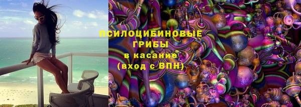ешки Гусев