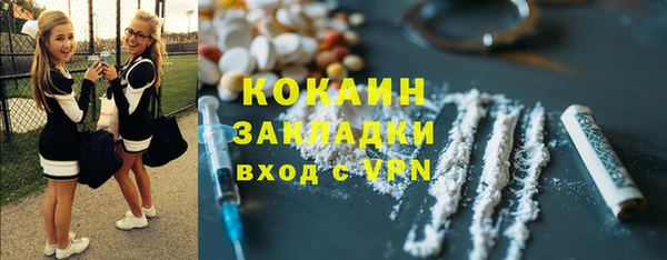 ешки Гусев