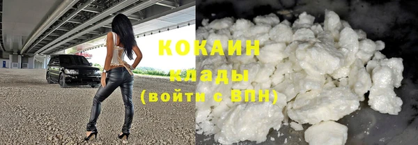 ешки Гусев