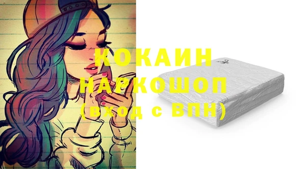 ешки Гусев