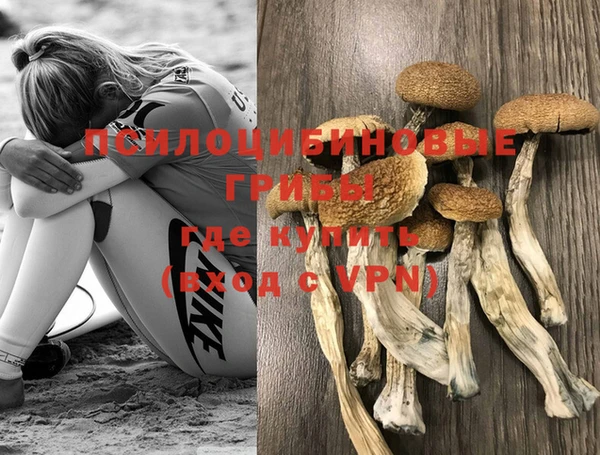 метамфетамин Гусь-Хрустальный