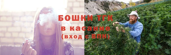 ешки Гусев